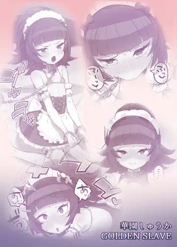 [Toranoe] Hanazono Shuka GOLDEN SLAVE Fhentai - Page 18