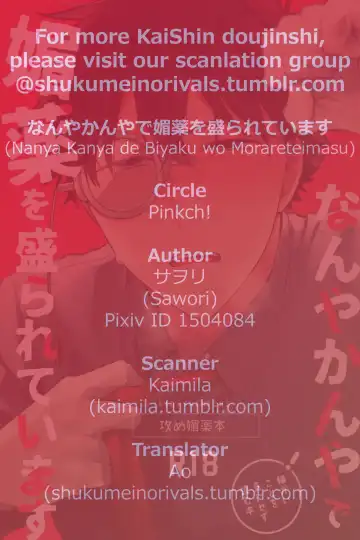 [Sawori] Nanya Kanya de Biyaku wo Morareteimasu (decensored) Fhentai - Page 17