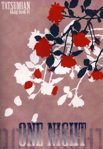 One Night Fhentai - Page 34