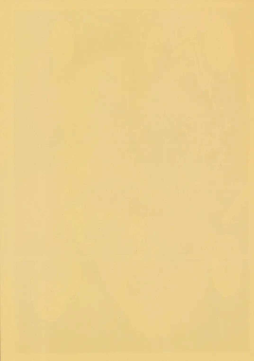 [Yodare - Yukisaki Miale] Ryuujou Collection Fhentai - Page 32