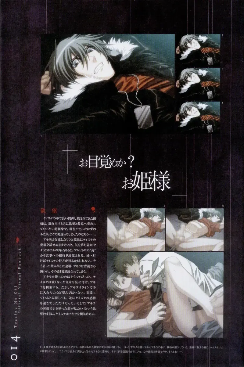 Togainu no chi -  Official Visual Fan Book Fhentai - Page 15