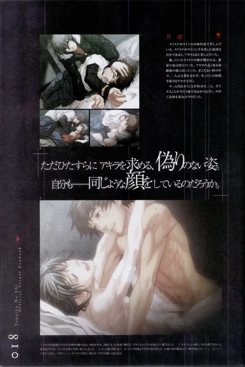 Togainu no chi -  Official Visual Fan Book Fhentai - Page 19