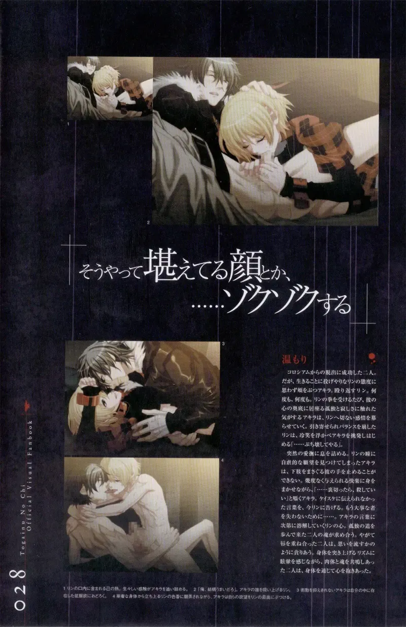 Togainu no chi -  Official Visual Fan Book Fhentai - Page 29