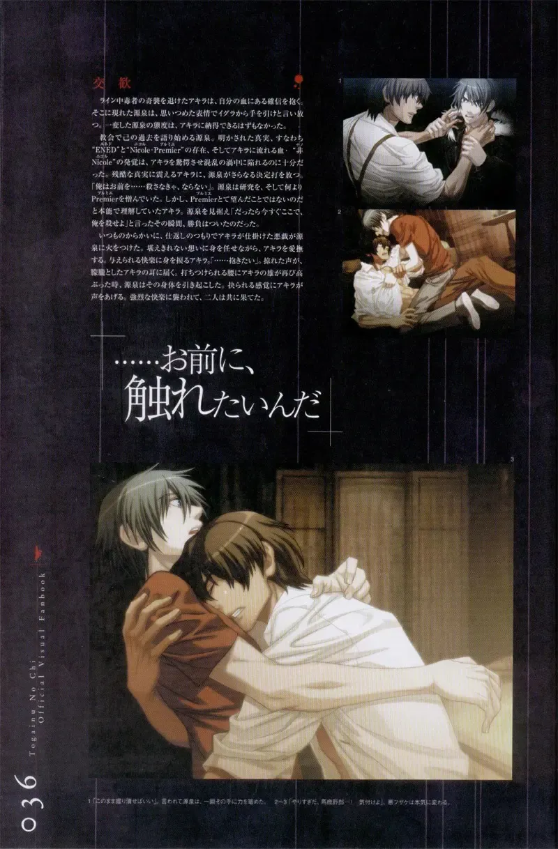 Togainu no chi -  Official Visual Fan Book Fhentai - Page 37