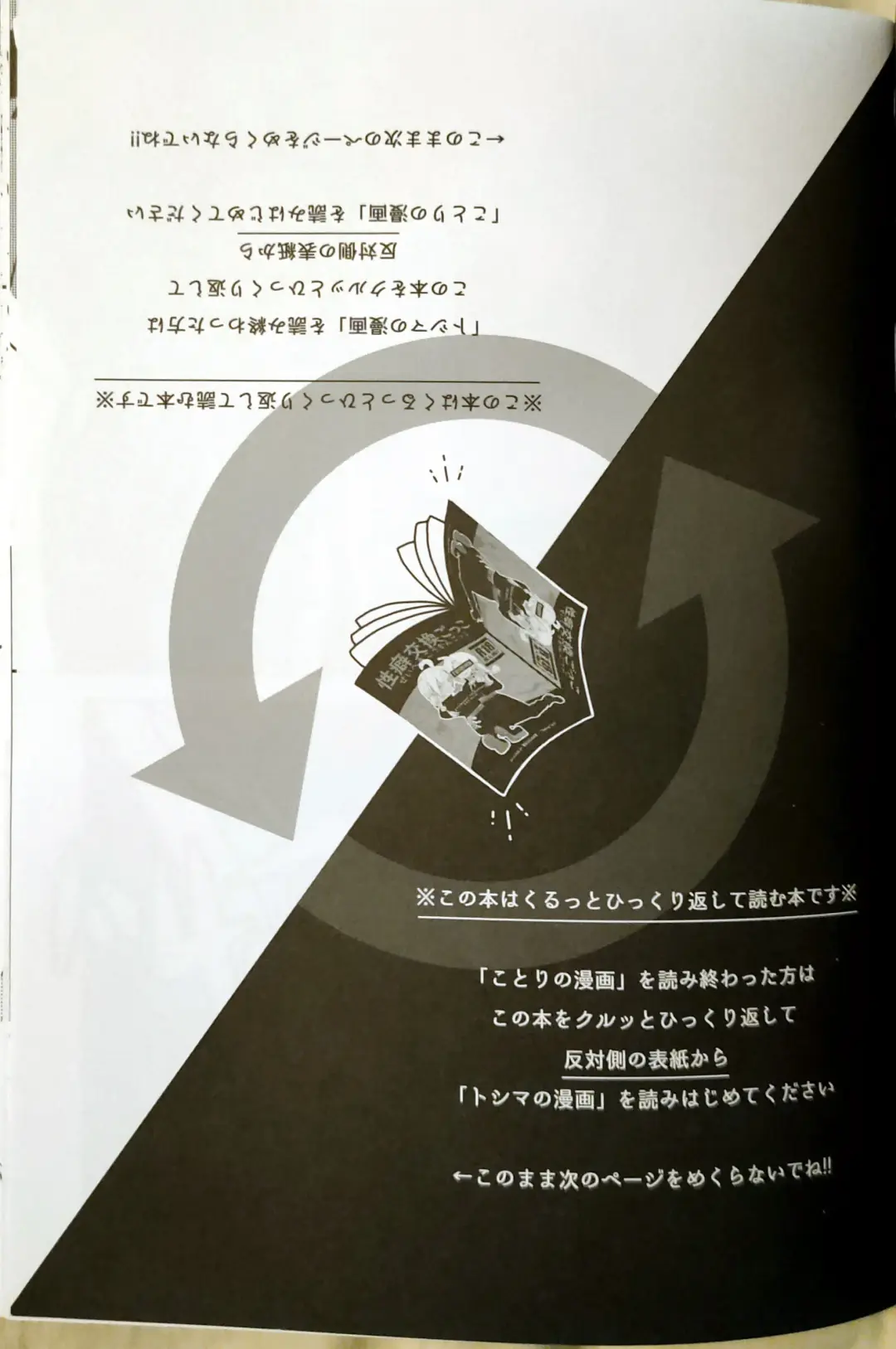 [Anna Kotori] CherryTart (Anna Kotori) seiheki kōkangokko/itamen no o heya Fhentai - Page 37