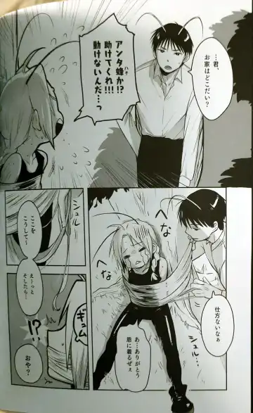 [Anna Kotori] CherryTart (Anna Kotori) seiheki kōkangokko/itamen no o heya Fhentai - Page 40