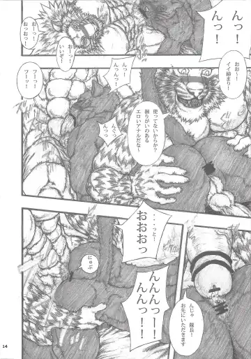 [Amd] MONHUN NEKOSANBIKI 2nd Fhentai - Page 15