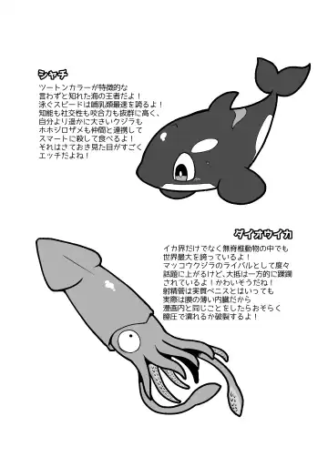 [Kageyama] Umi no Ikimono Zukan Fhentai - Page 23