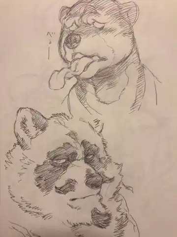 イカリとヤマネ Fhentai - Page 22