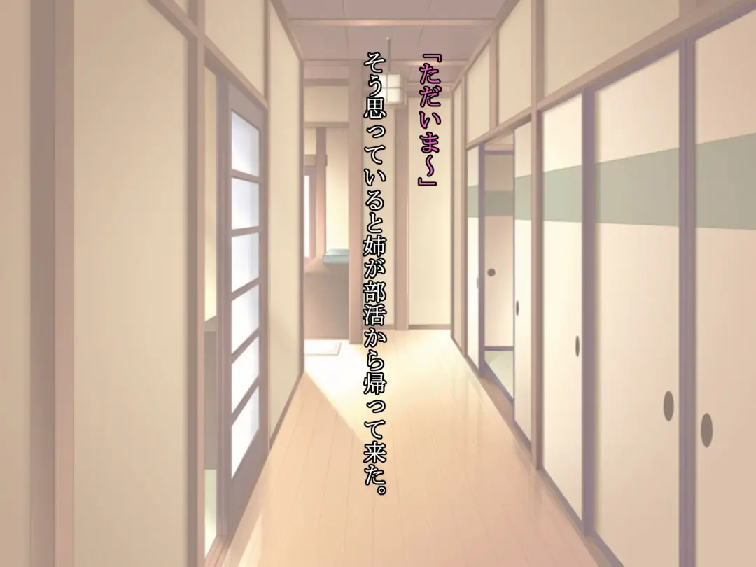 Hisashiburi ni Nee-chan to Furo ni Haittara, Karada ga Sugokatta Fhentai - Page 6