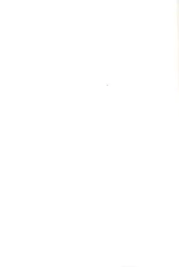 Spicy Mint Boys - Ero Shota 15 Fhentai - Page 174