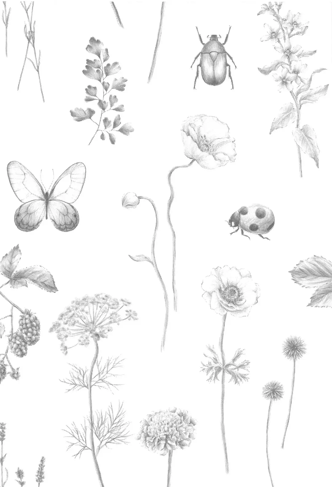 [Inui Shiro] Doku o Kurawaba  Sara made. Fhentai - Page 3