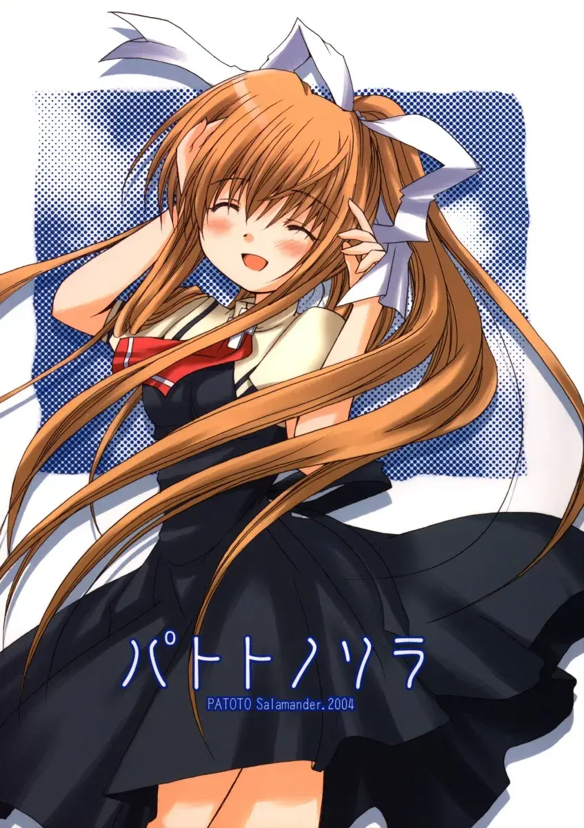 [Salamander] Patoto no Sora Fhentai - Page 1