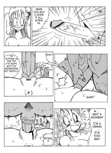 [Yamamoto] Bulma and Company Fhentai - Page 8