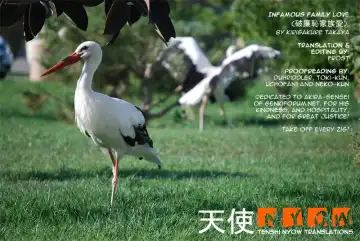 [Kirigakure Takaya] Infamous Family Love Fhentai - Page 2