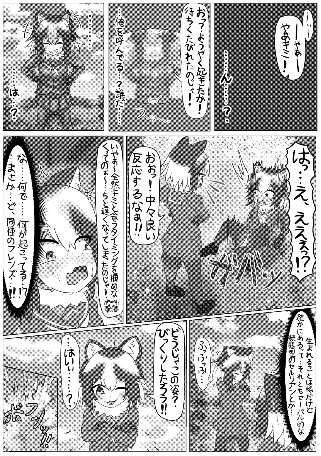 [Mepikari - Welt] Boku mo Friend ~Kimi wa Kaeru Basho~ Kemono Friends TSF Goudou 3 Fhentai - Page 15
