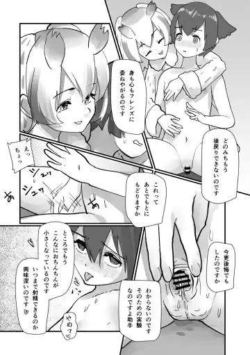 [Mepikari - Welt] Boku mo Friend ~Kimi wa Kaeru Basho~ Kemono Friends TSF Goudou 3 Fhentai - Page 87