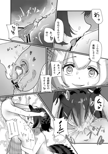 [Mepikari - Welt] Boku mo Friend ~Kimi wa Kaeru Basho~ Kemono Friends TSF Goudou 3 Fhentai - Page 95