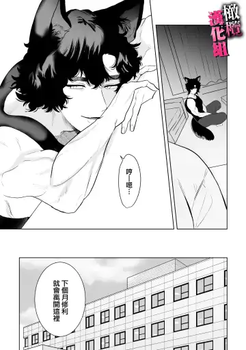 watashi wa ōkami kemonohito no nama kōbi de mesu ni naru｜我因为和狼族兽人进行无套交尾变成了雌性 Fhentai - Page 20