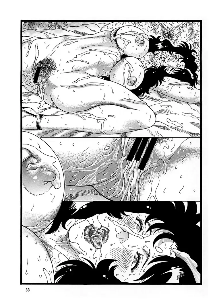 [Inugai Shin] CAT'S HUNTER 3 Fhentai - Page 33