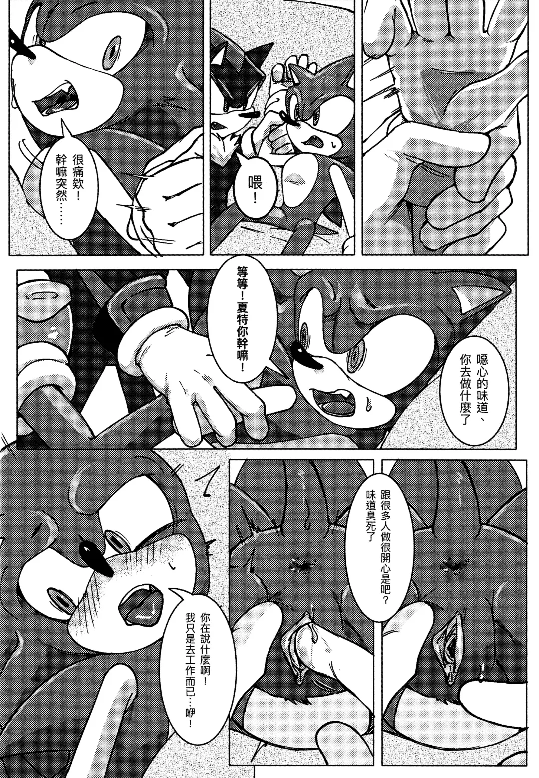 Sonic Ranbou!! (decensored) Fhentai - Page 13