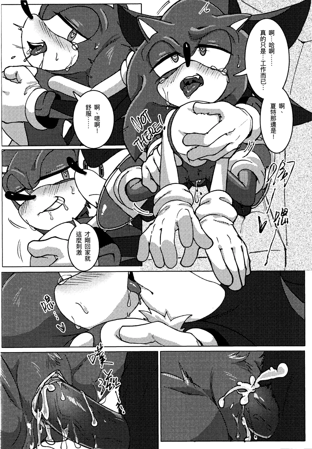 Sonic Ranbou!! (decensored) Fhentai - Page 15