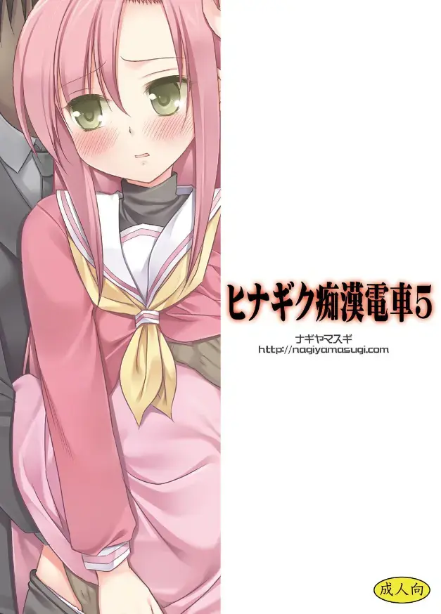 [Nagiyama] Hinagiku Chikan Densha 5 Fhentai - Page 18