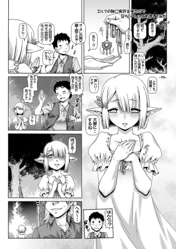 [Type.90] Boku ni Elf no imouto ga dekimashita Fhentai - Page 18