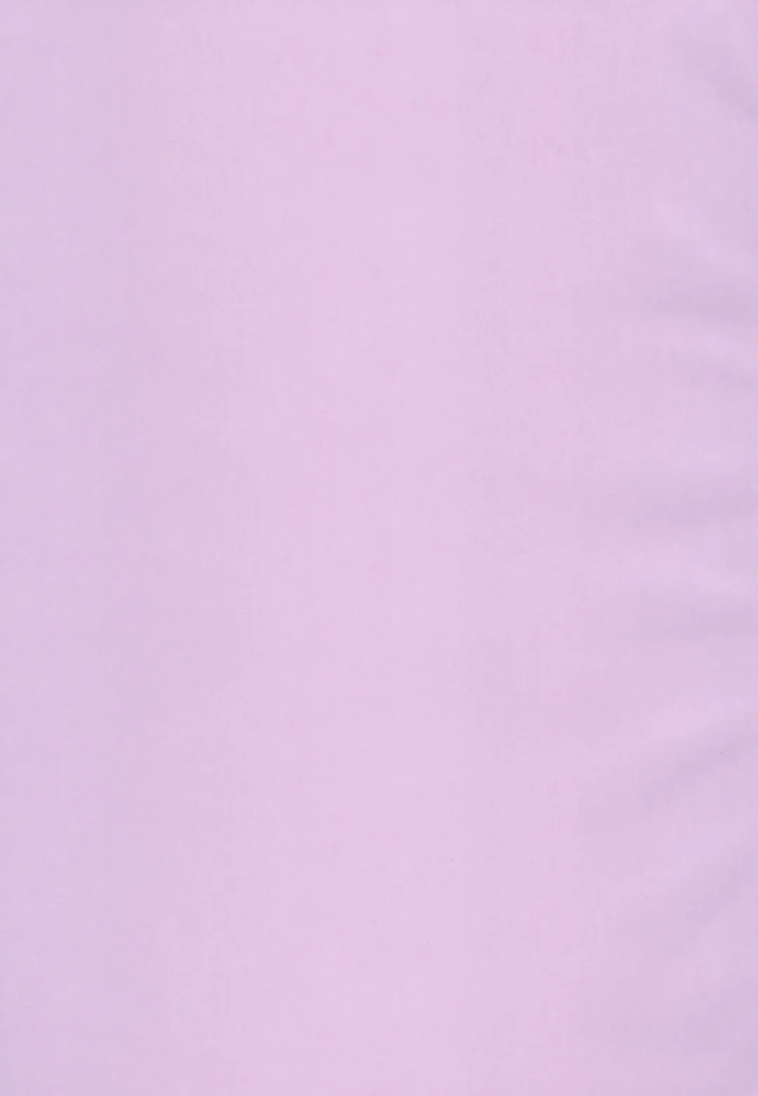 [N] Kokoro Reversi Fhentai - Page 3