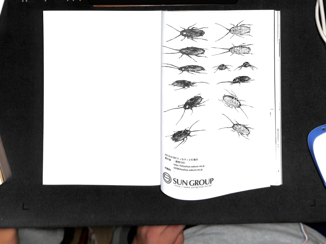 [Harasaki] Sumireko-chan no Chitsunai ni Gokiburi o Ireru Hon Fhentai - Page 36