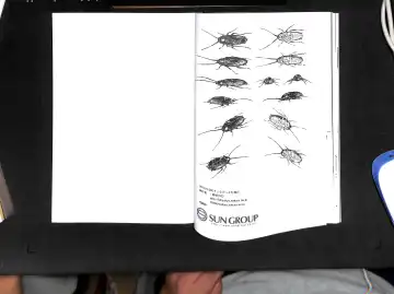 [Harasaki] Sumireko-chan no Chitsunai ni Gokiburi o Ireru Hon Fhentai - Page 36