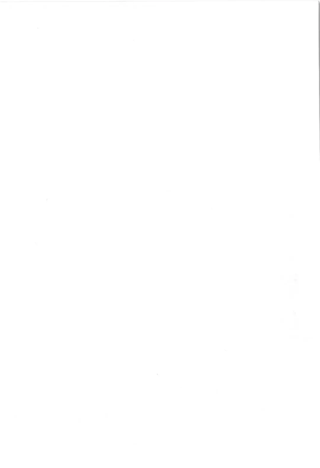 [Machida Hiraku] Anne Friends Fhentai - Page 3