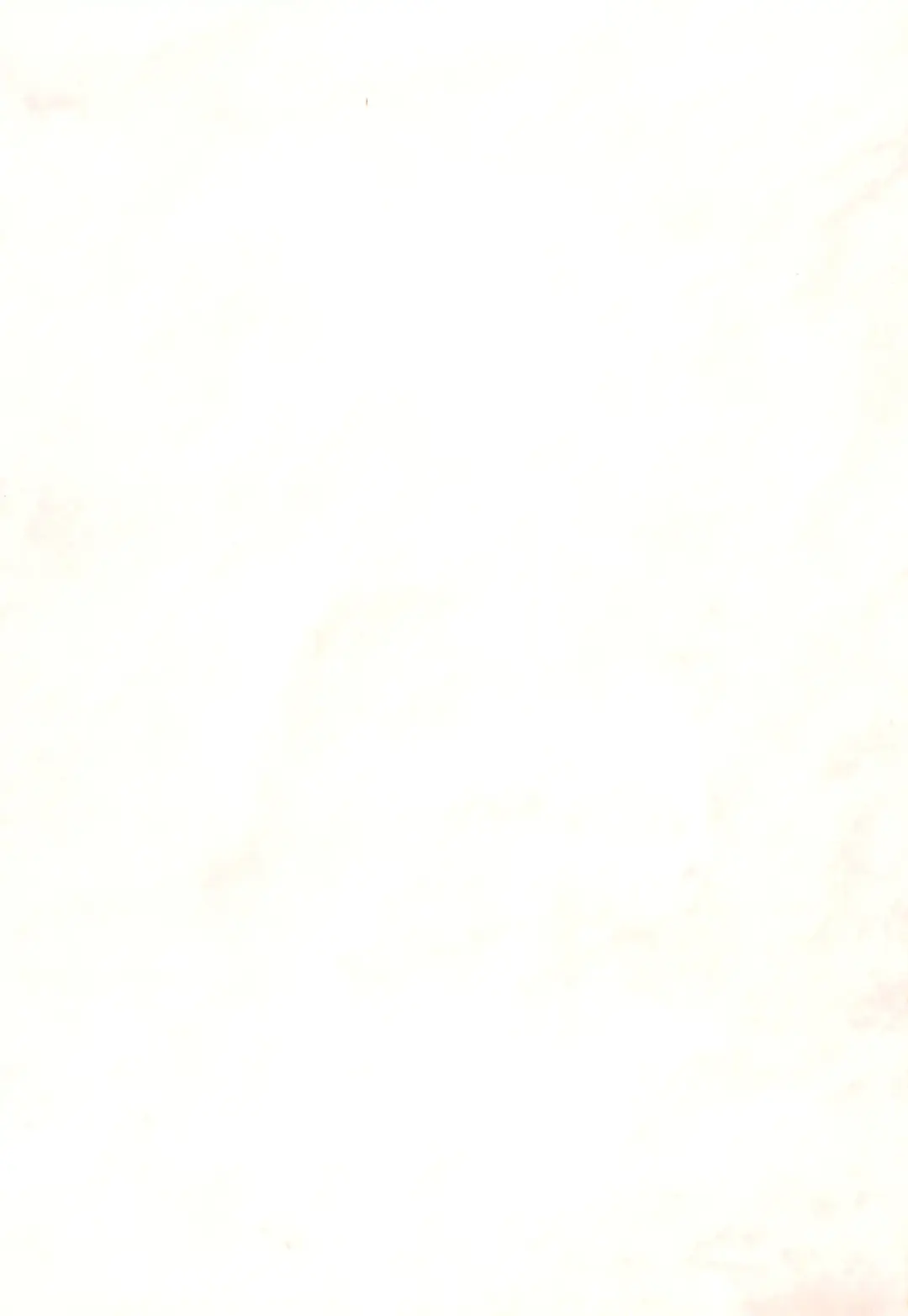 Soko ni Ai wa aru no? 3 Fhentai - Page 3