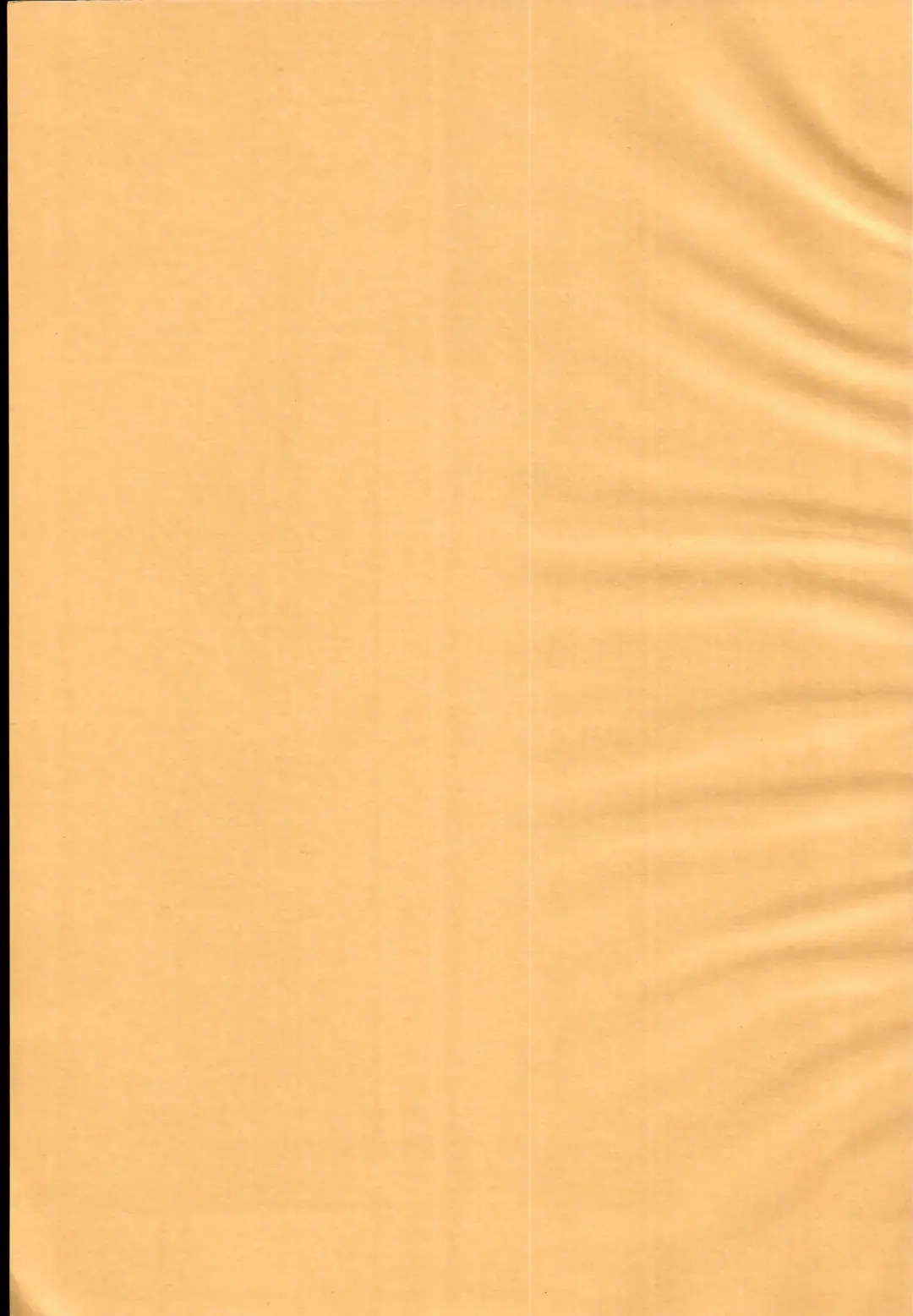 [Kimoto Rai] Stage Ishou no Mama de Iin de Oppai Misete Kudasai Fhentai - Page 3