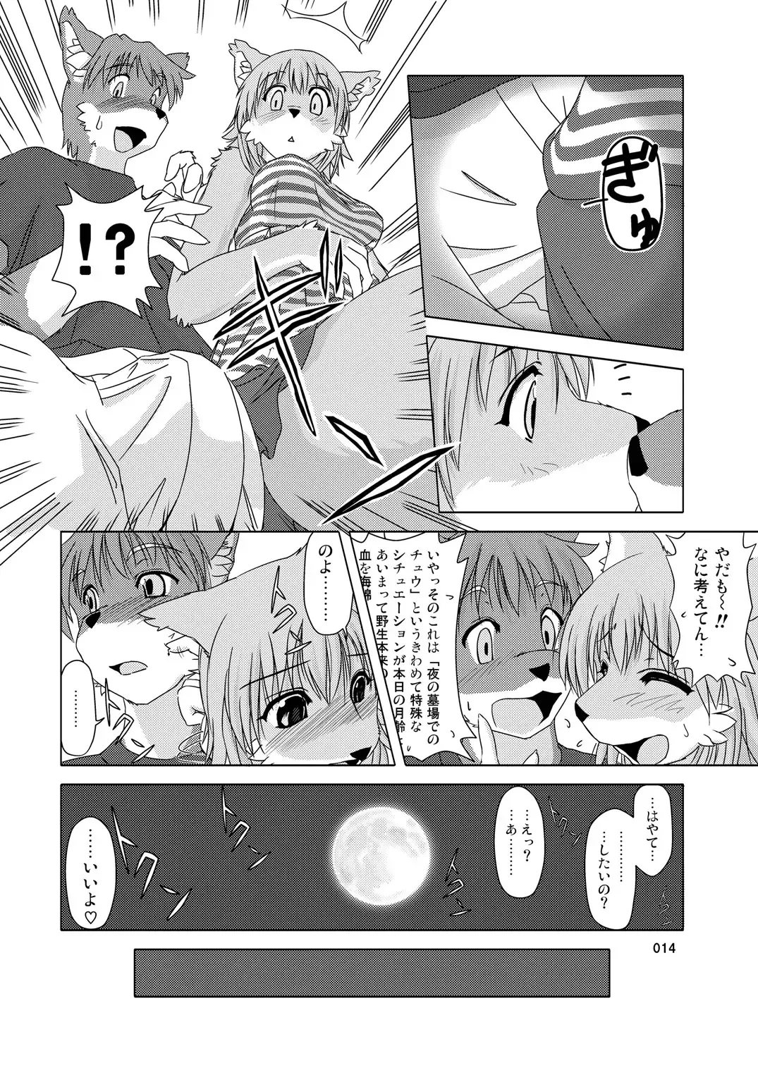 [Hinba - Jyoka - Yosuke] COMIC KEMOSTORE Soukangou Fhentai - Page 14