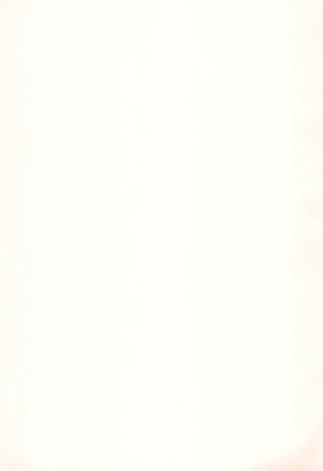 Mada mada Kore kara Fhentai - Page 3