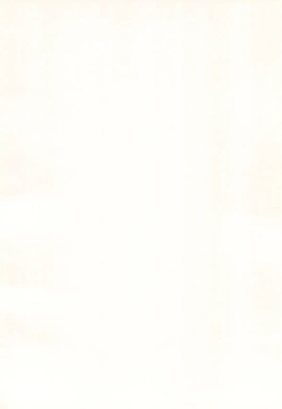 Mada mada Kore kara Fhentai - Page 4