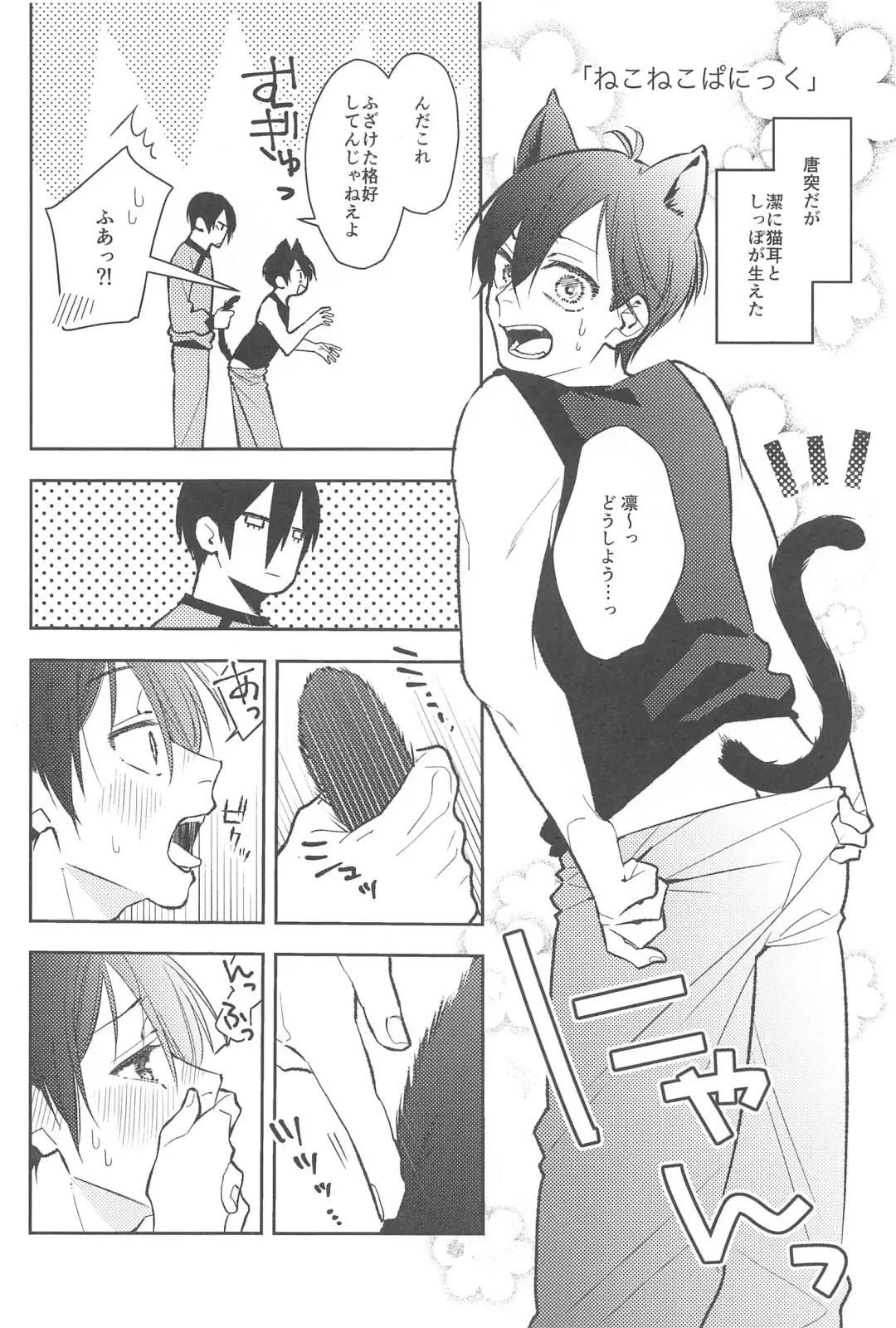 RINISA MATOMEMASHITA Ecchi ver. Fhentai - Page 11