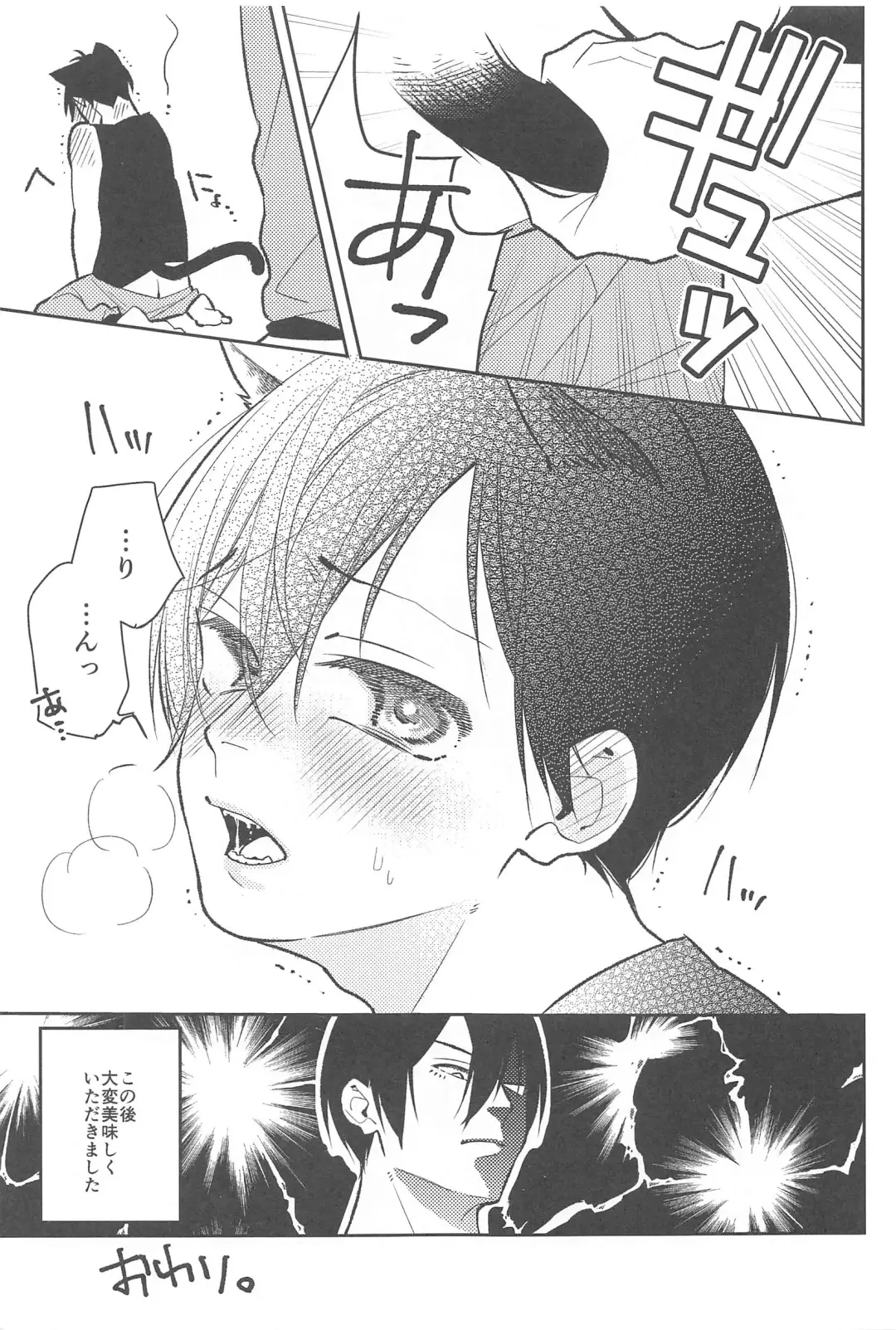 RINISA MATOMEMASHITA Ecchi ver. Fhentai - Page 12