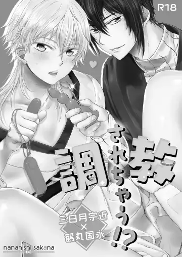 [Nananishi Sakana] Choukyou Sarechau!? Fhentai - Page 3