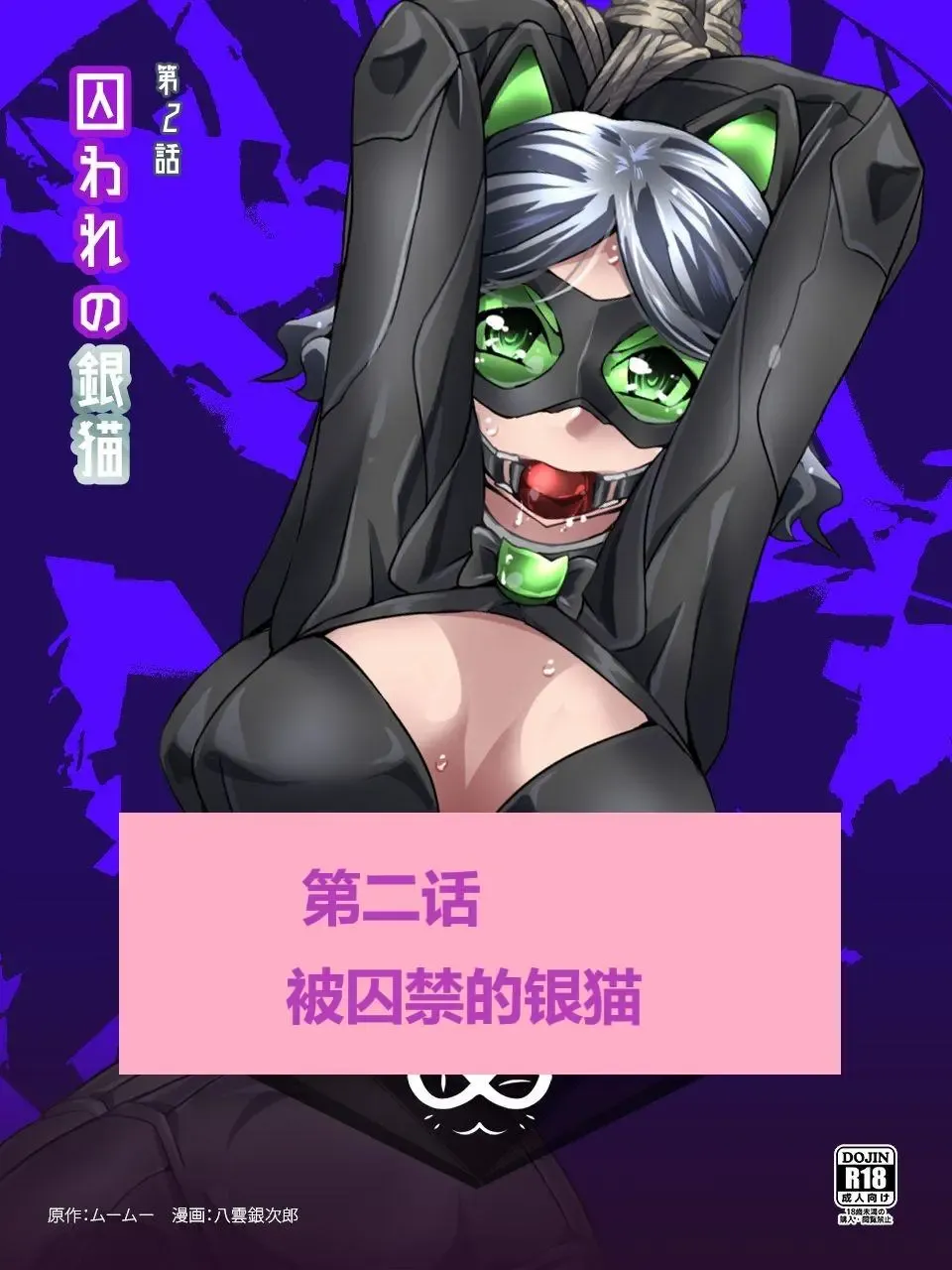 [Yakumo Ginjirou] Kaitou Silver Cat Manga Ban Fhentai - Page 28