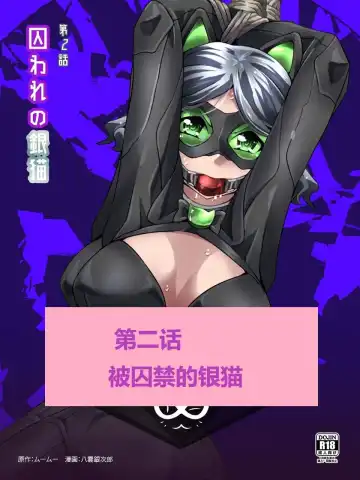 [Yakumo Ginjirou] Kaitou Silver Cat Manga Ban Fhentai - Page 28