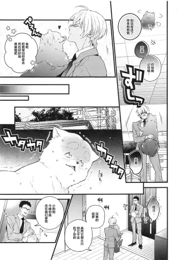 [Mikado] Pomesyu wa Homeraretai! Fhentai - Page 10