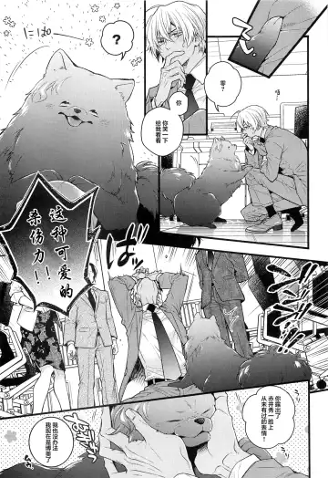 [Mikado] Pomesyu wa Homeraretai! Fhentai - Page 8