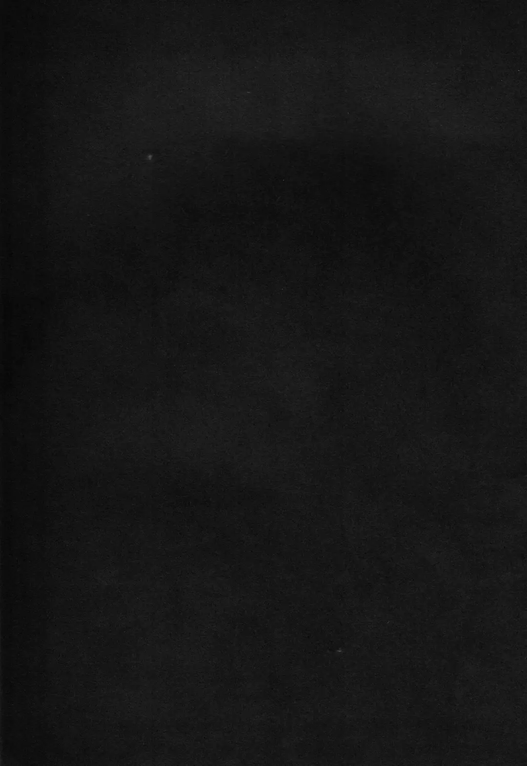 [Haiya] Gyou Fhentai - Page 3