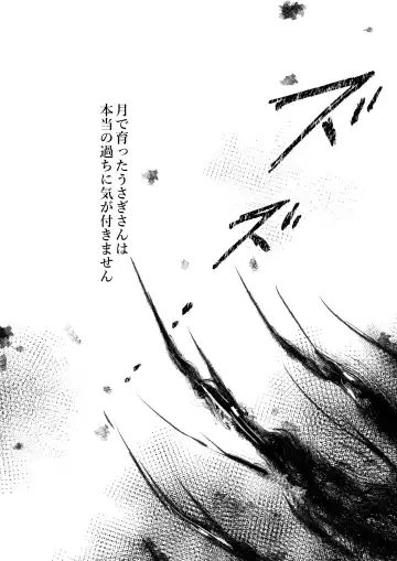 [Konomi] Nyancology 13 -Nekoda-san to Usami-san no Himitsu no Sessyoku- Bangaihen Douji Shuuroku "Usami-san to Umibe de Himitsu no Ecchi?" Fhentai - Page 25