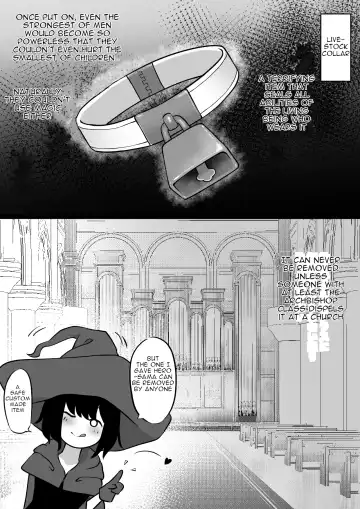 [Zandoro] Nakama ni Uragirare Succubus ni Urareta Yuusha-sama no Ohanashi | Story of a Hero Betrayed by his Comrades and Sold to a Succubus Fhentai - Page 5