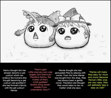 Oneesan and Yukkuri 6 (Boshiherondasu) - Translated Fhentai - Page 9