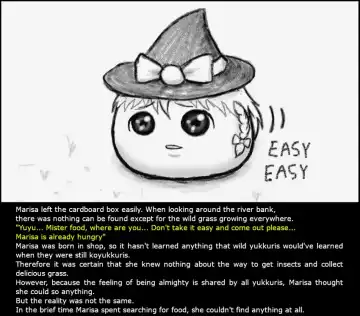 Oneesan and Yukkuri 6 (Boshiherondasu) - Translated Fhentai - Page 14