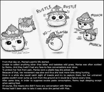 Oneesan and Yukkuri 6 (Boshiherondasu) - Translated Fhentai - Page 19